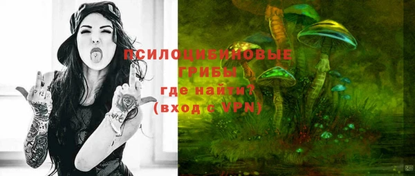 сатива Алексеевка