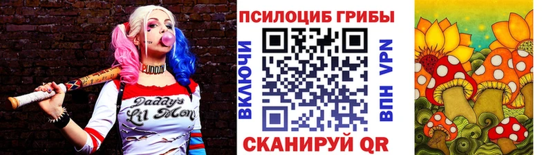 ссылка на мегу ТОР  купить закладку  Сергач  Псилоцибиновые грибы MAGIC MUSHROOMS 